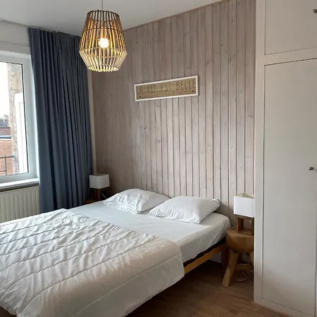 Near Sandy Beaches, Cleaning Included Nieuwpoort